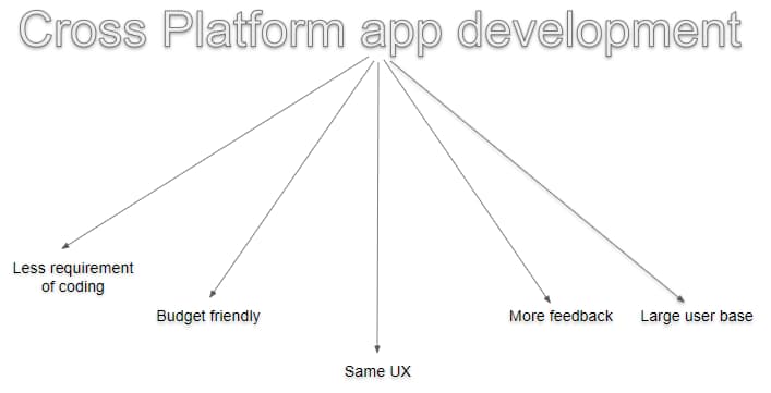 cross platform development image