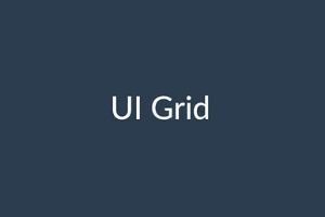 Angular UI Grid image
