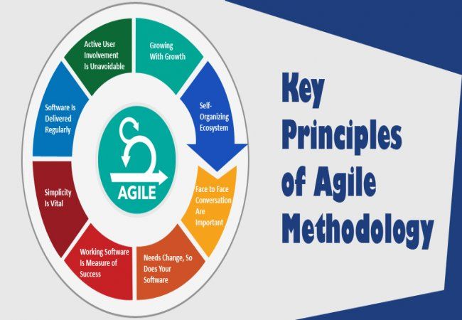 Agile Principles  Banner Image