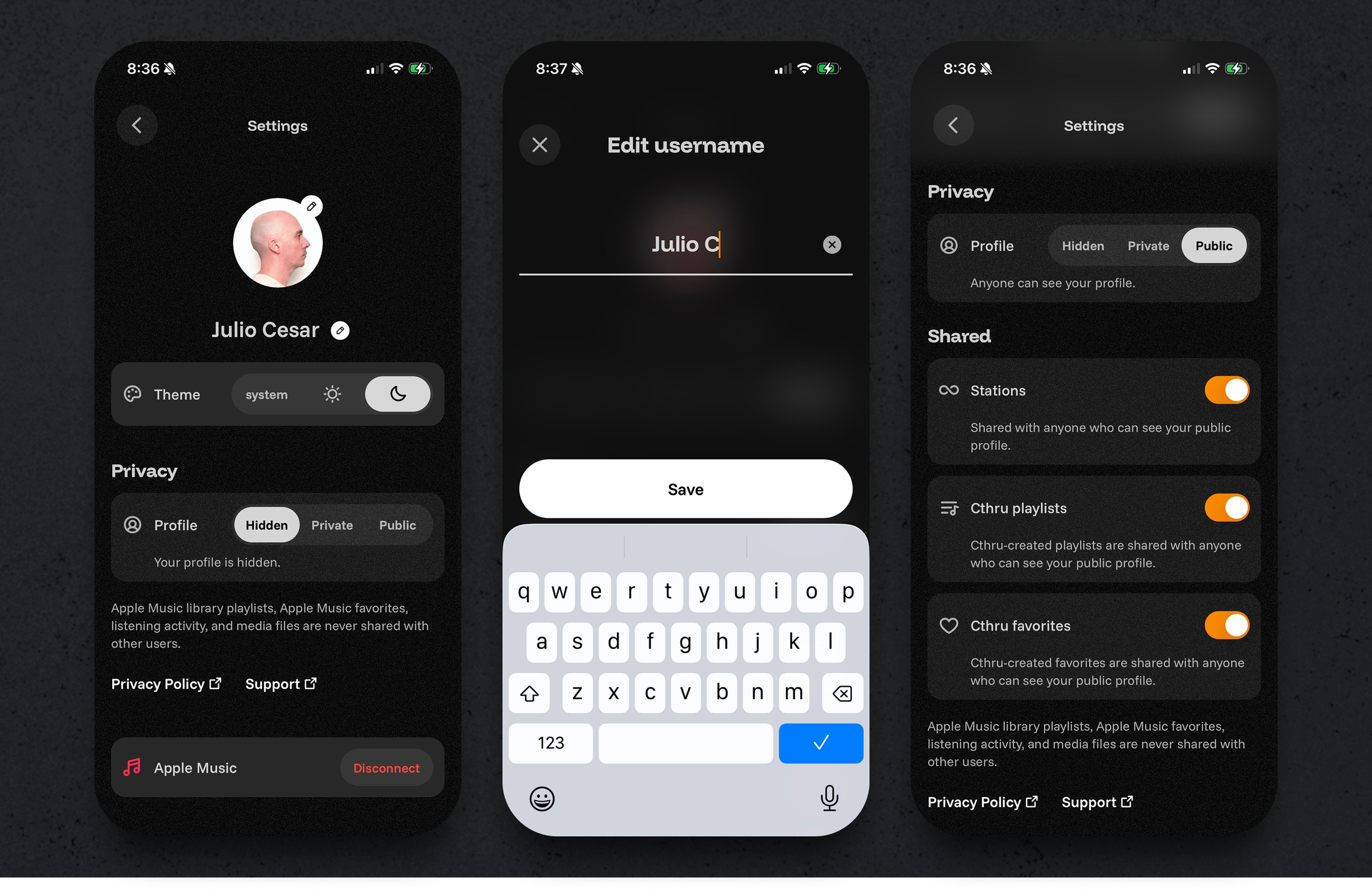 Settings mobile screen for the Cthru music player project
