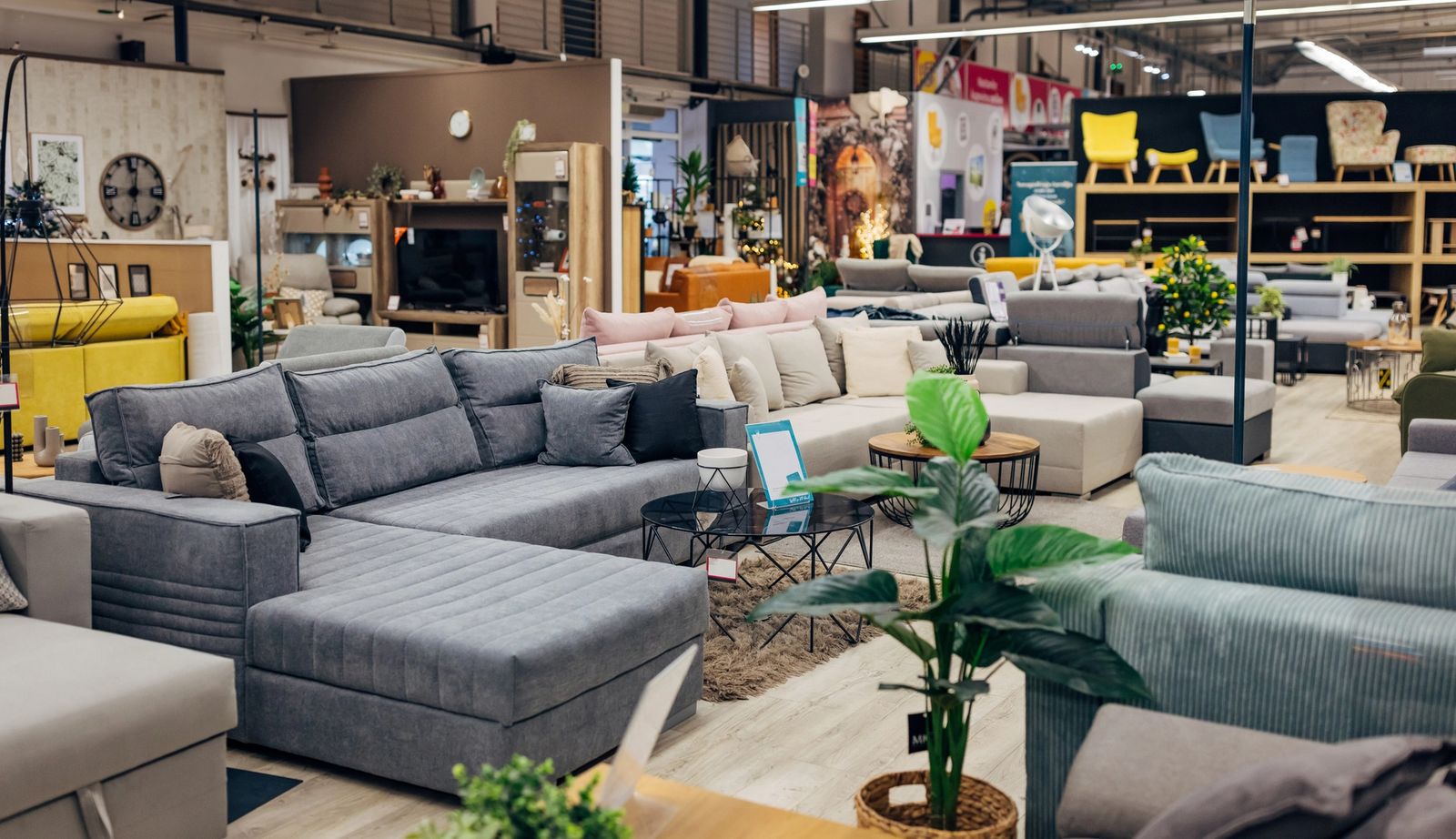 Furniture showroom with multiple sofas and floor sample inventory on display