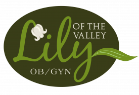 lily logo image