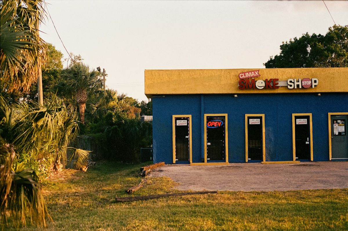 Rows of golden Jamaican patties lined up behind a patty shop counter