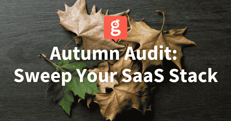 Autumn Audit: Sweep Your SaaS Stack