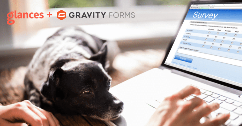 Instantly Look Up Gravity Forms Entries for Any Person