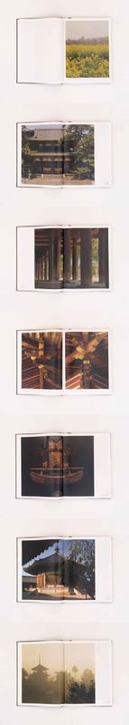 Image preview for ANCIENT TEMPLES IN JAPAN | 土門拳 日本古寺 - 22