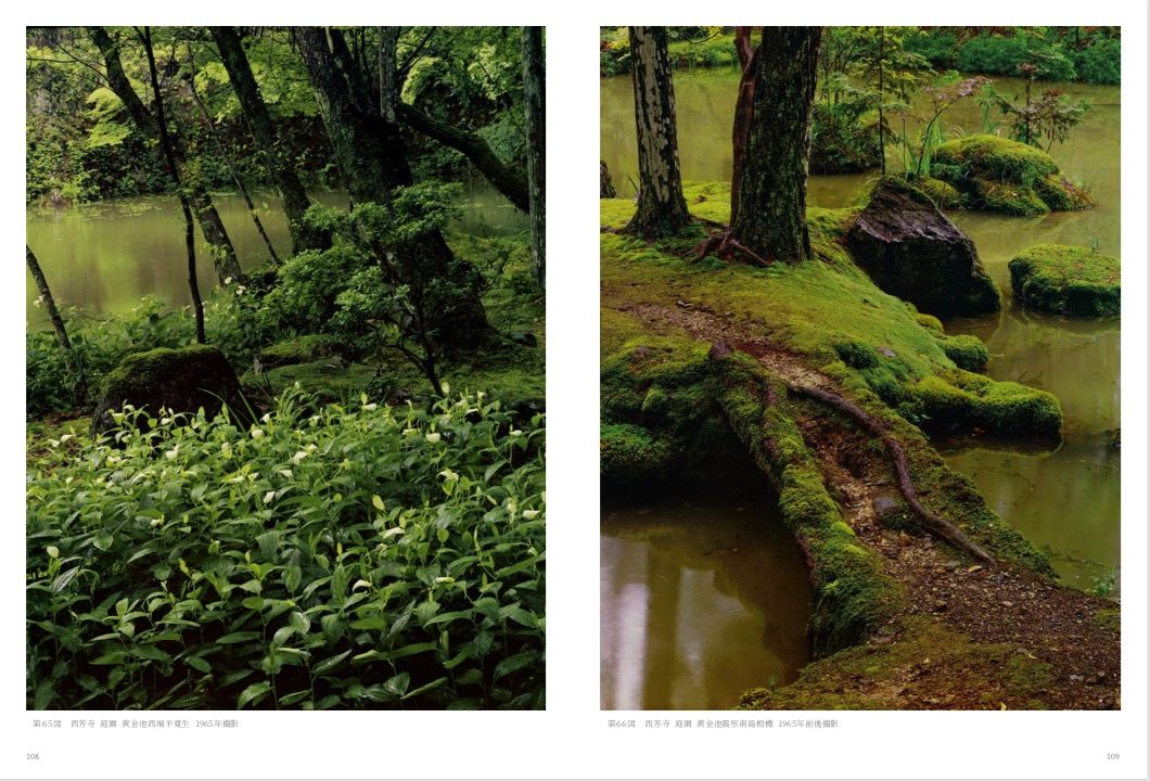 Image preview for ANCIENT TEMPLES IN JAPAN | 土門拳 日本古寺 - 17