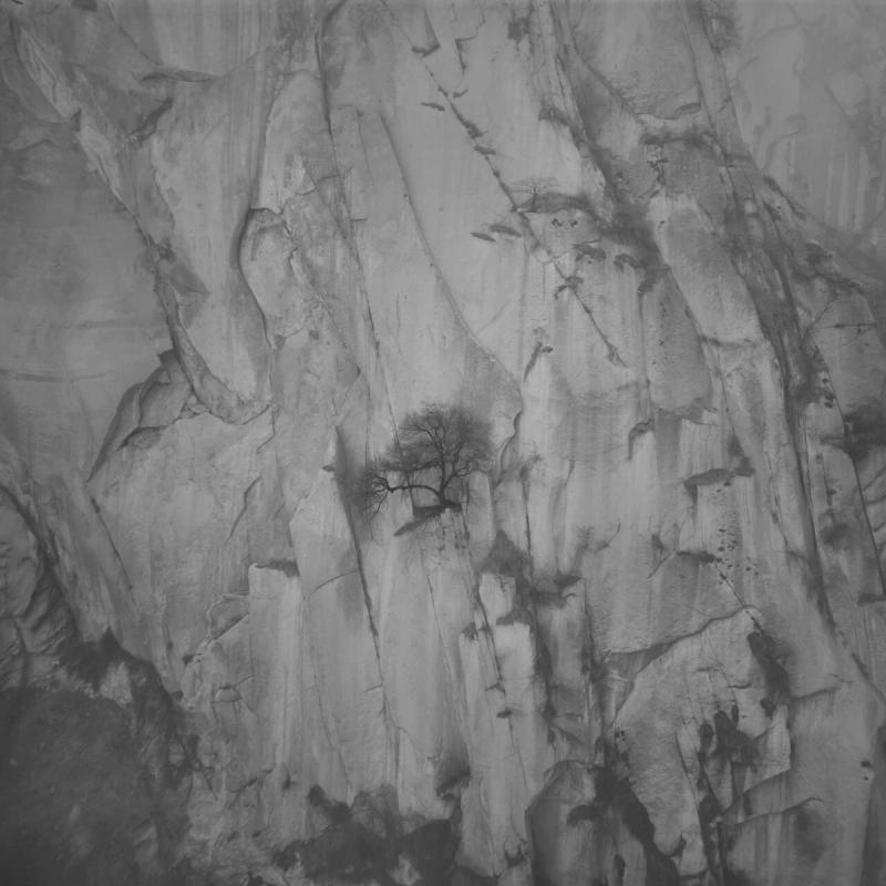 Image preview for Odes: A Journey Through The Poetry of Mountains and Rivers | 塔可：诗山河考 - 13