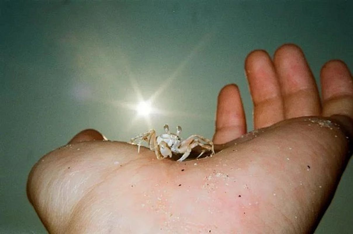 Image preview for Touch 214 - 34