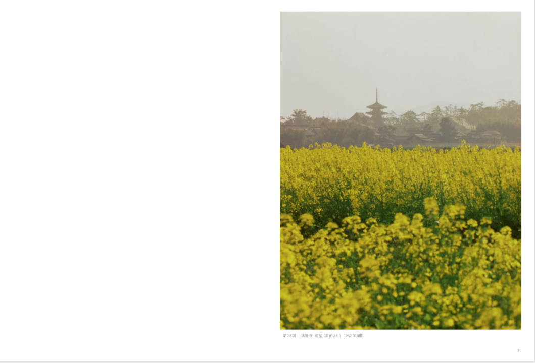 Image preview for ANCIENT TEMPLES IN JAPAN | 土門拳 日本古寺 - 4