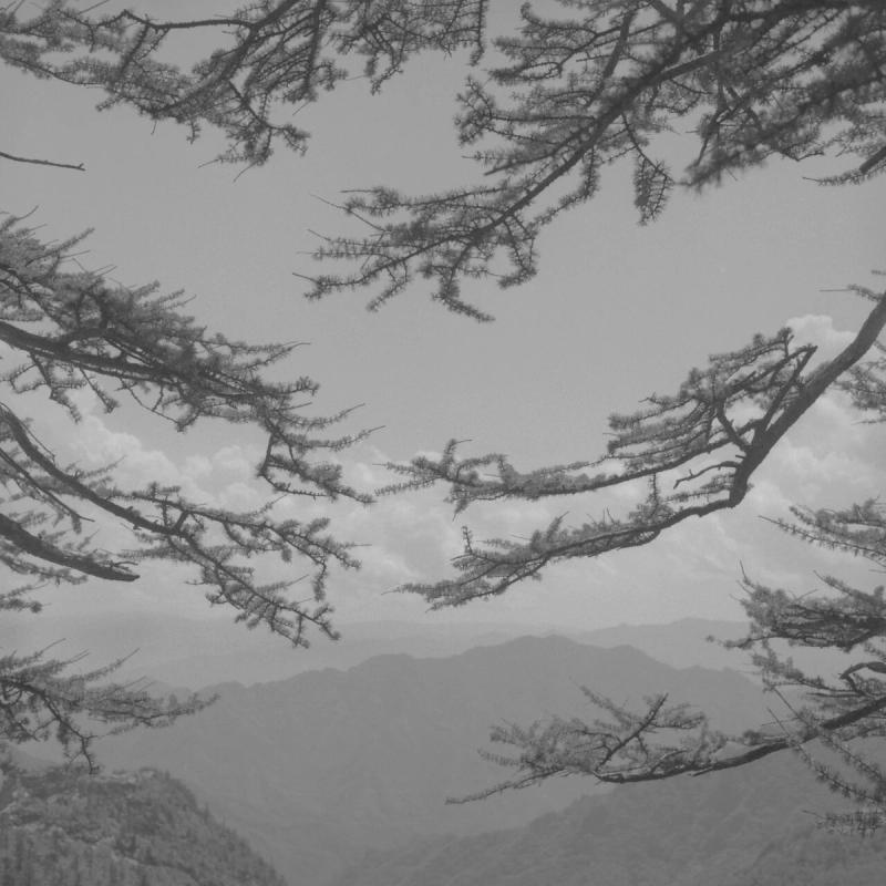 Image preview for Odes: A Journey Through The Poetry of Mountains and Rivers | 塔可：诗山河考 - 12