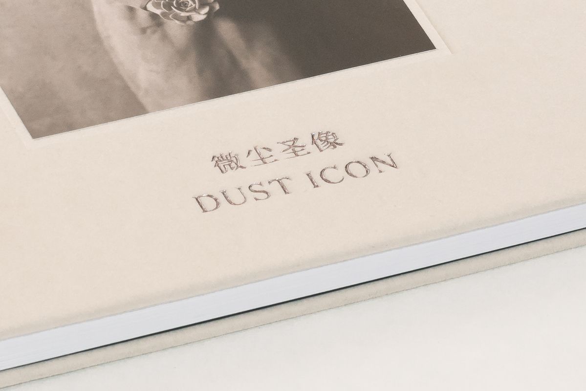 Image preview for DUST ICON | 微塵聖像 - 1