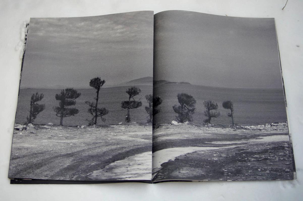 Image preview for wû sín | 有神 - 12