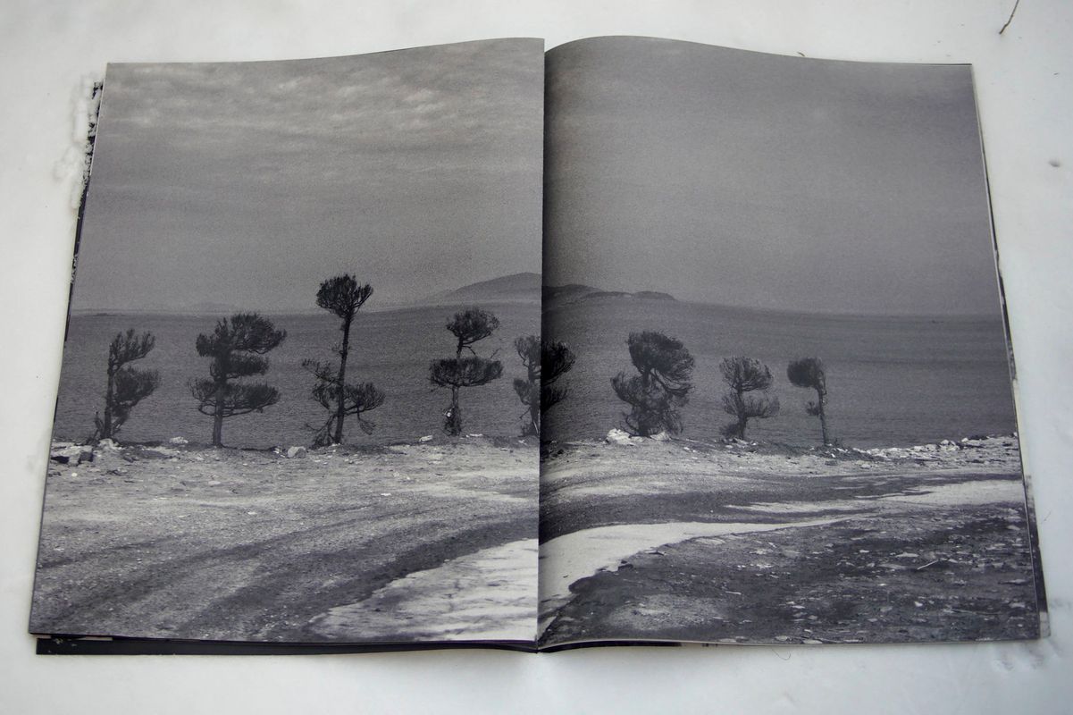 Image preview for wû sín | 有神 - 12