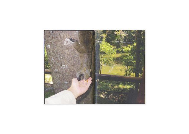 Image preview for Touch 214 - 9