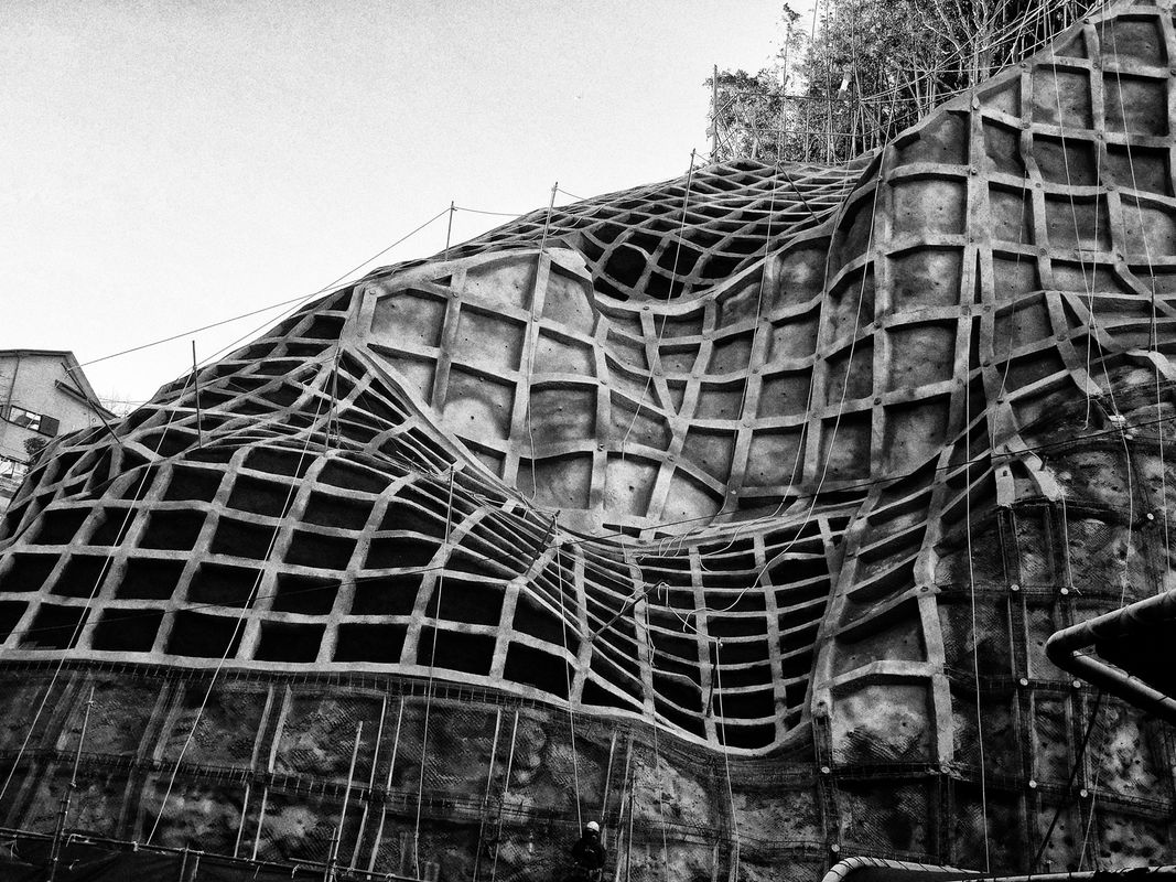 Image preview for RECORD No.57 - 10