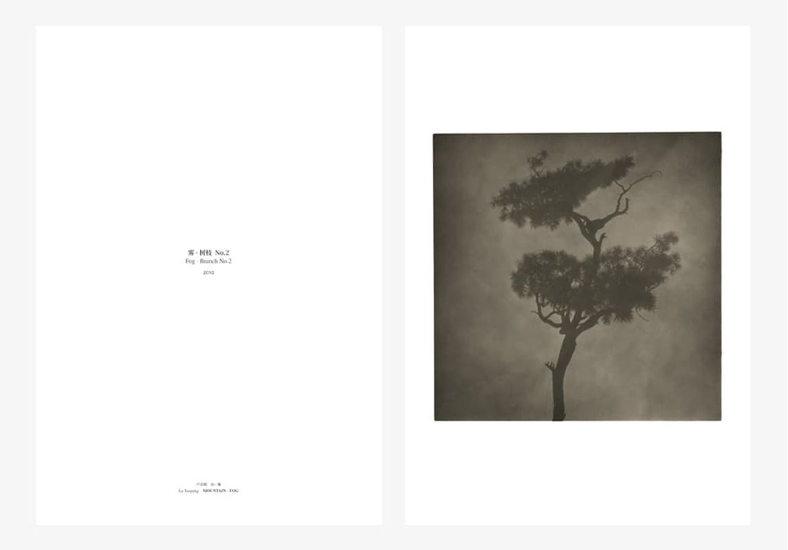 Image preview for Mountain - Fog | 山・霧 - 8