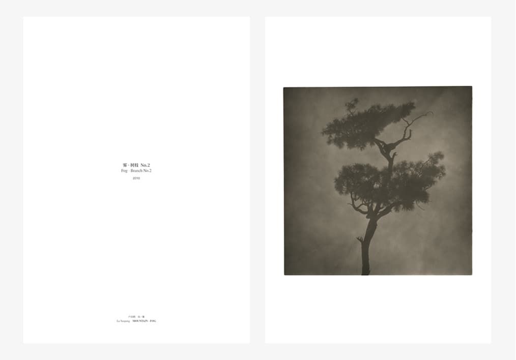 Image preview for Mountain - Fog | 山・霧 - 8