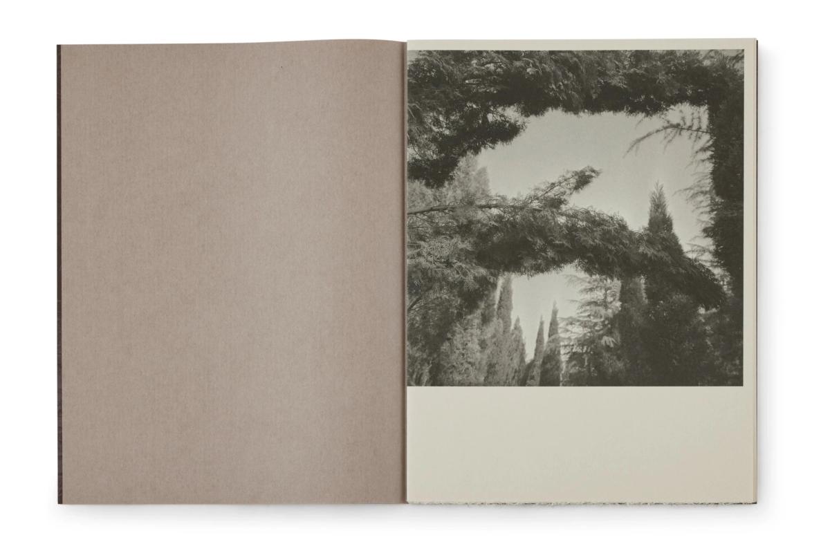 Image preview for Odes: A Journey Through The Poetry of Mountains and Rivers | 塔可：诗山河考 - 6