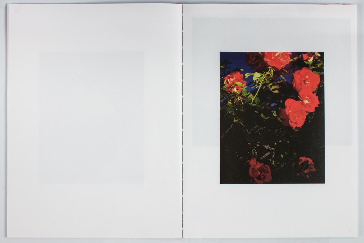 Image preview for Ground Sea | 地浪 - 5