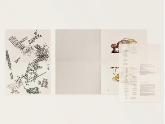 Image preview for John Cage: A Mycological Foray - 1