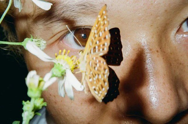 Image preview for Touch 214 - 32