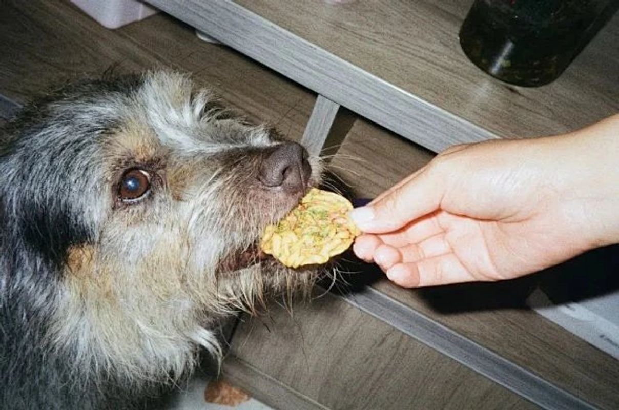 Image preview for Touch 214 - 37