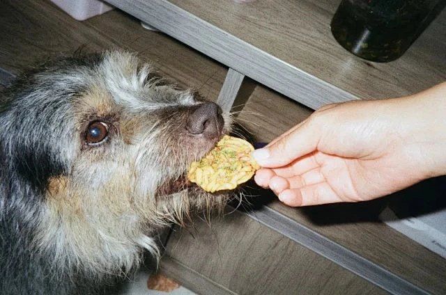 Image preview for Touch 214 - 37