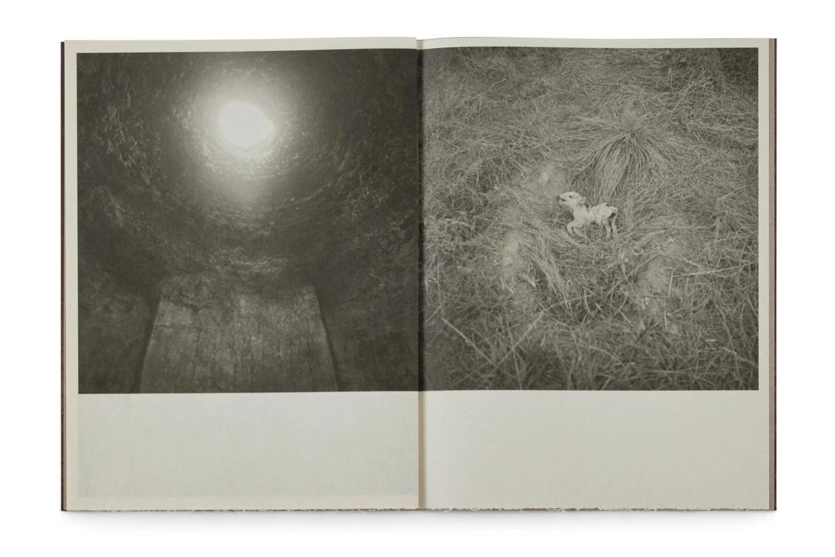 Image preview for Odes: A Journey Through The Poetry of Mountains and Rivers | 塔可：诗山河考 - 9