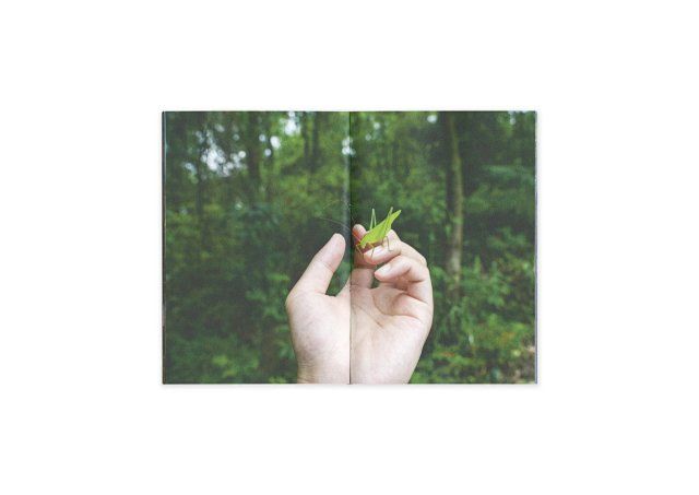 Image preview for Touch 214 - 4