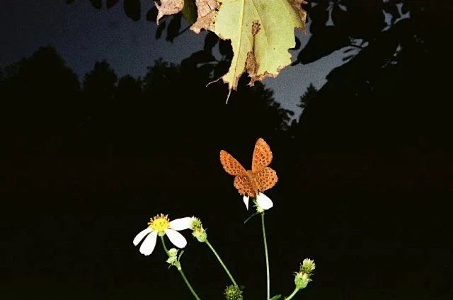 Image preview for Touch 214 - 35