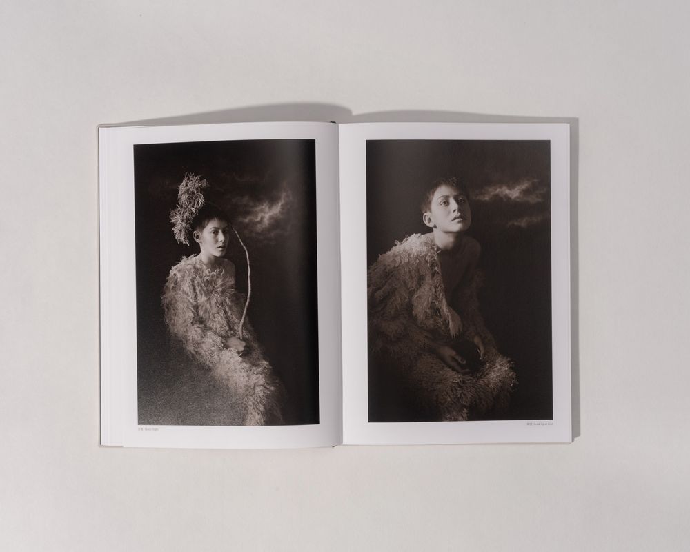 Image preview for DUST ICON | 微塵聖像 - 5