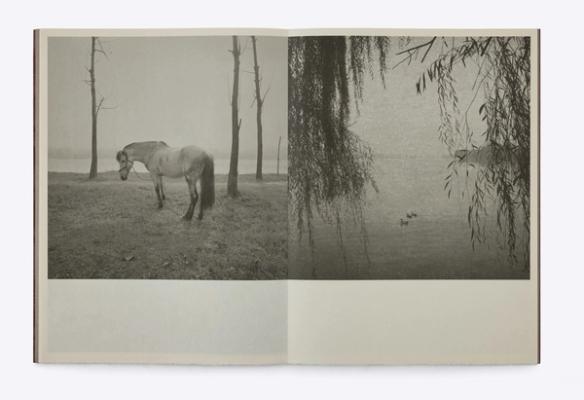 Image preview for 塔可：诗山河考 - 2