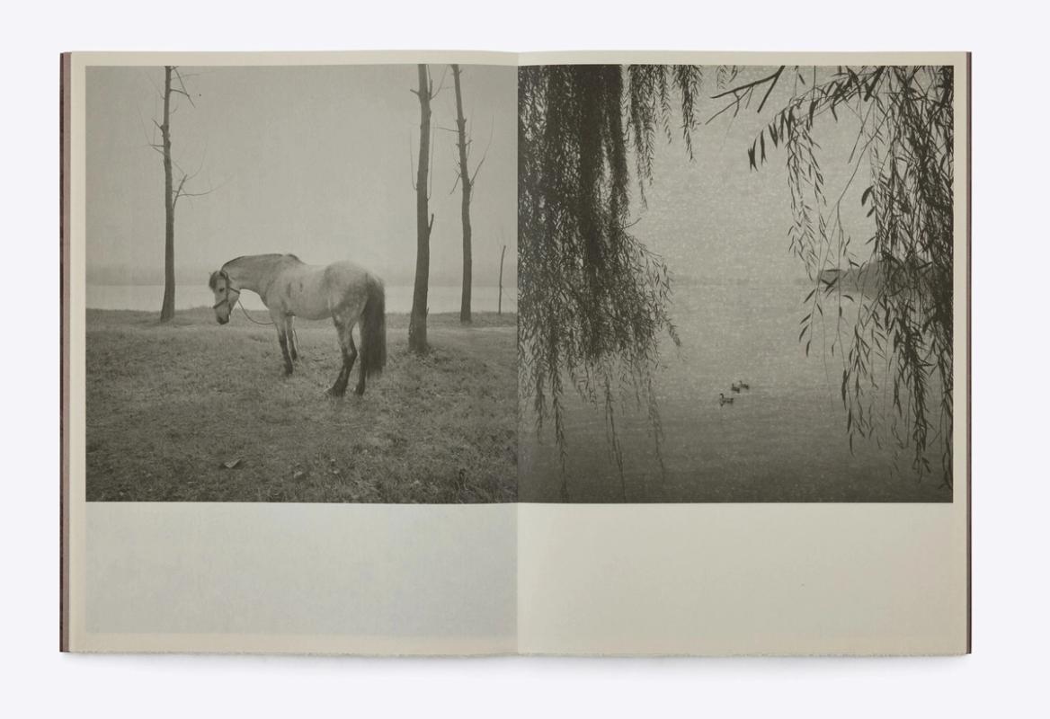 Image preview for Odes: A Journey Through The Poetry of Mountains and Rivers | 塔可：诗山河考 - 5