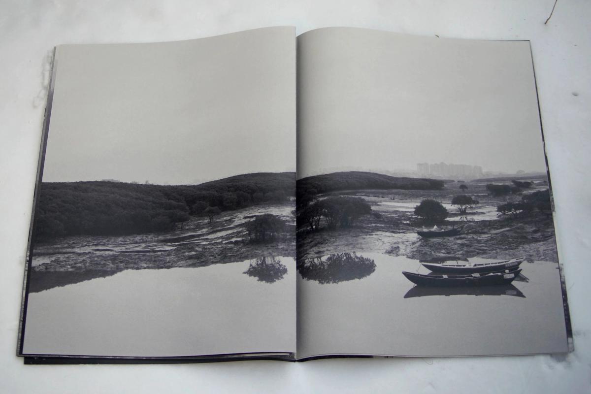 Image preview for wû sín | 有神 - 14