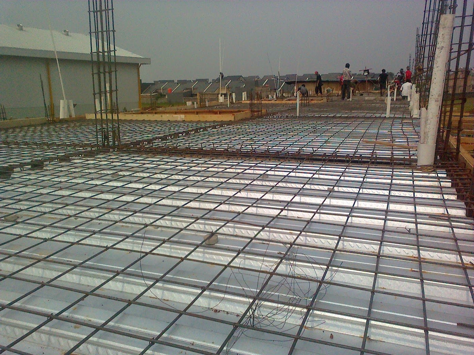 Wire Mesh