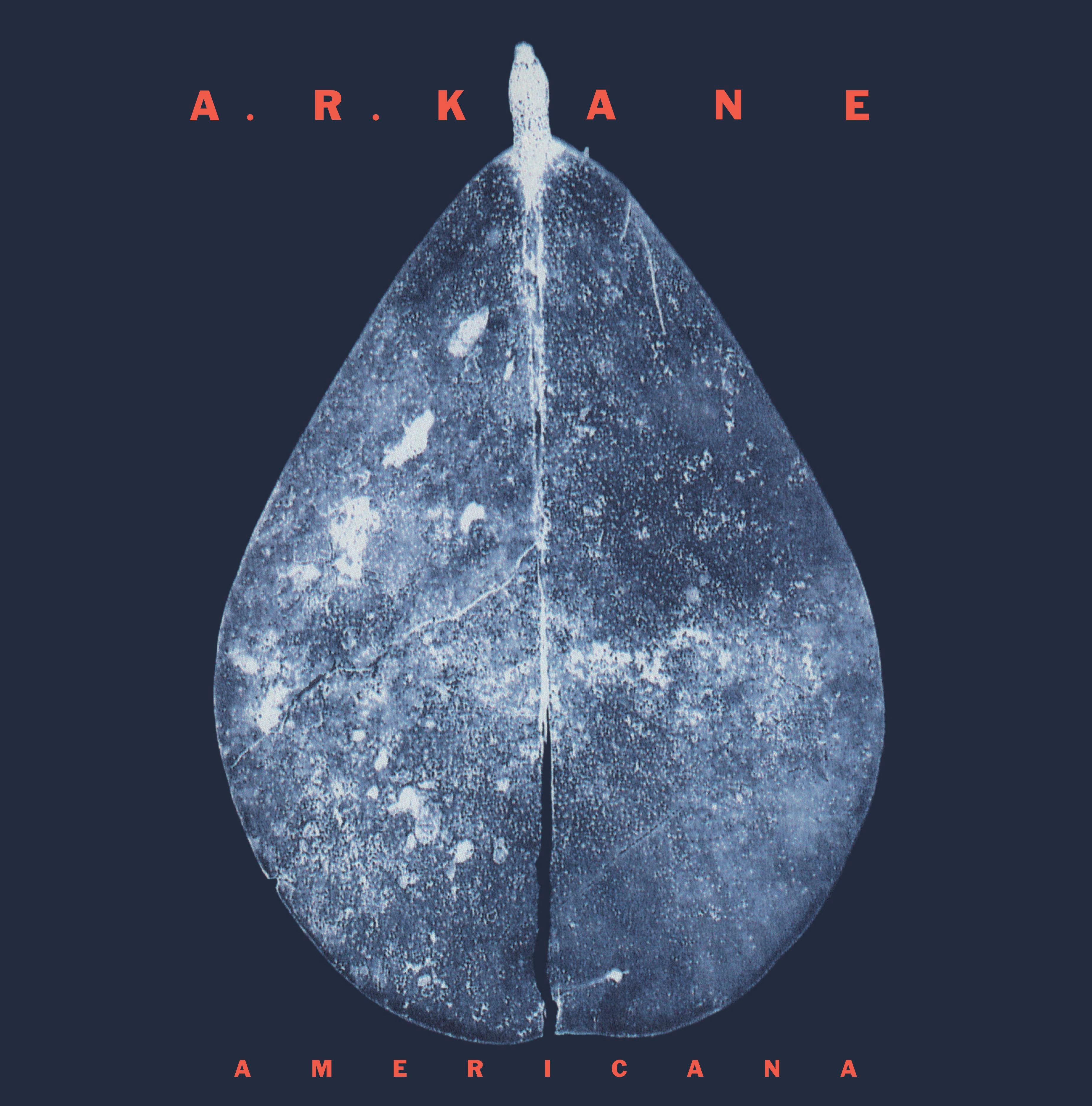 Americana by A.R. Kane - Luaka Bop