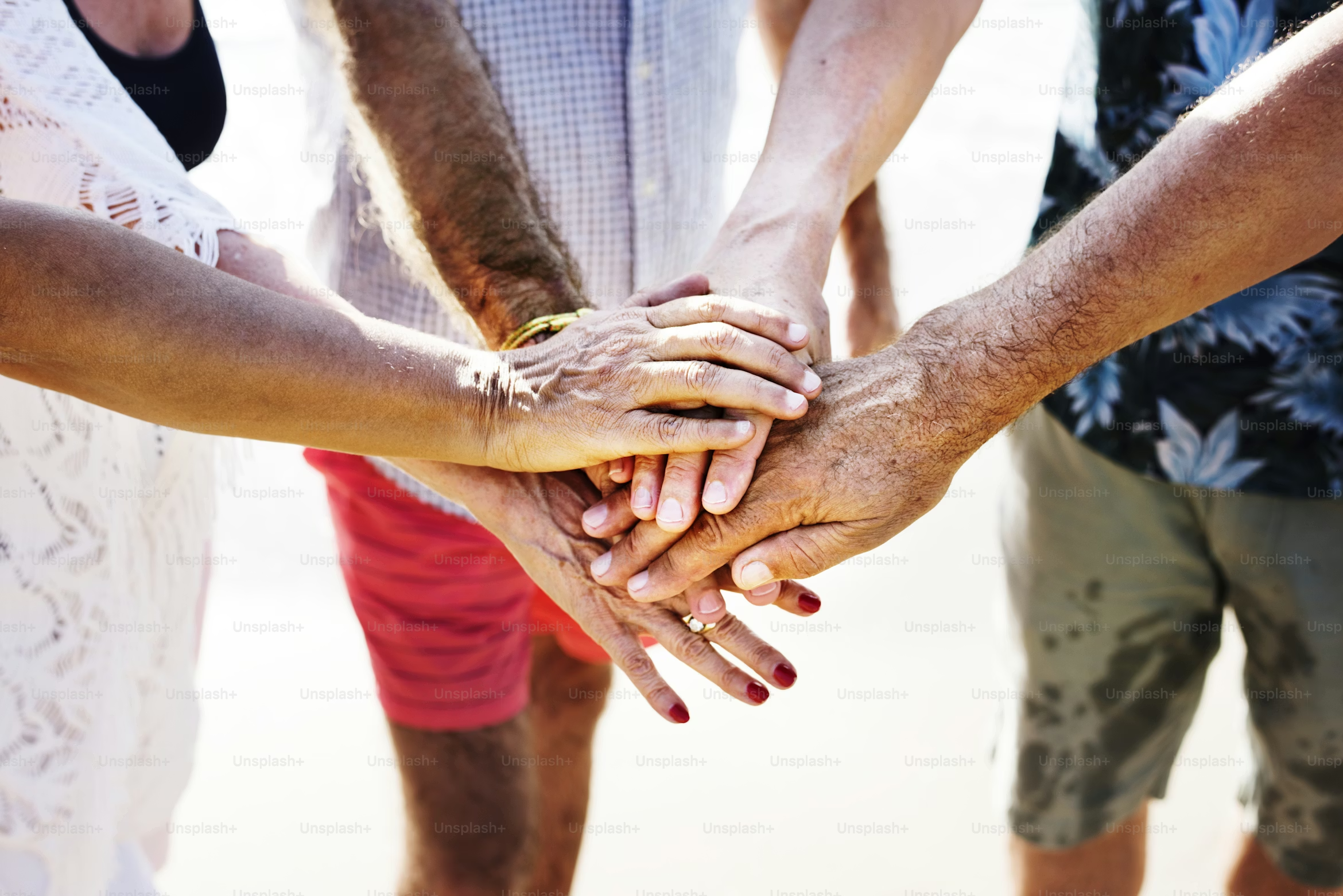 Statement on the 2020 Presidential Election