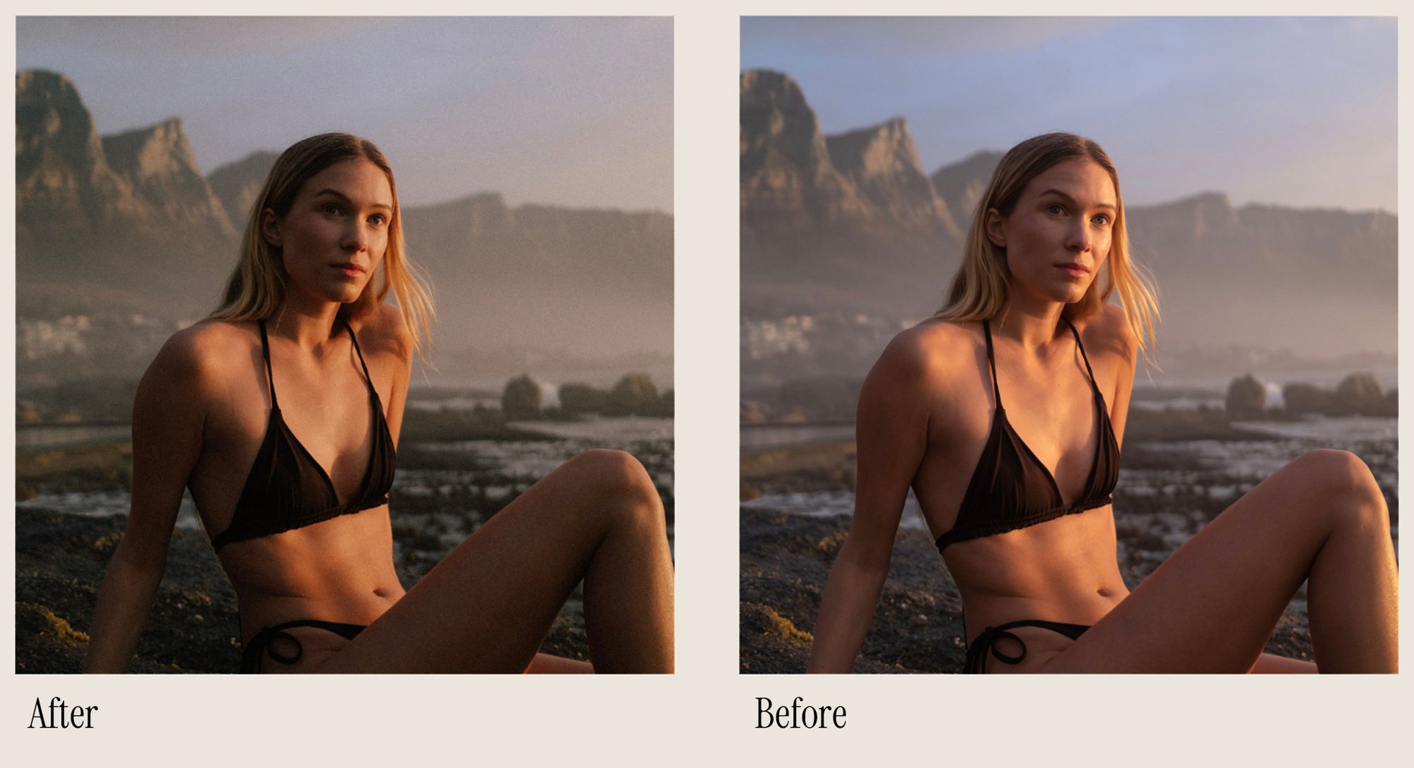 Full Collection - 4 Film Emulations