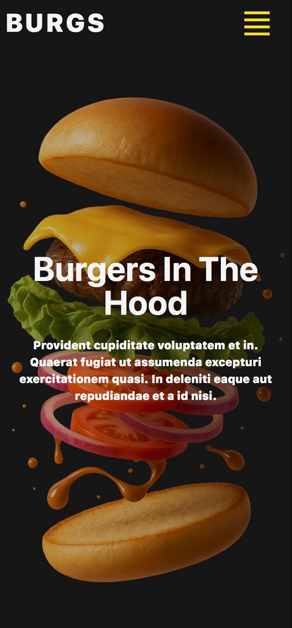 Burgs-0