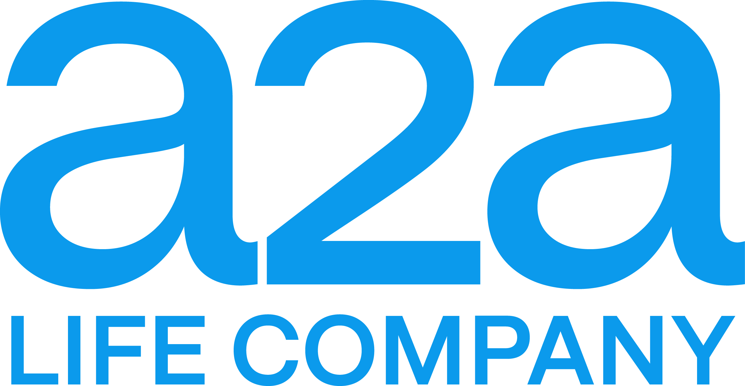 A2A Life Company