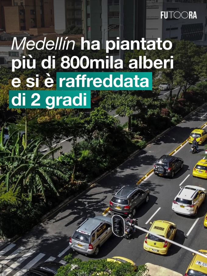 Post: Medellín ha piantato più di 800mila alberi