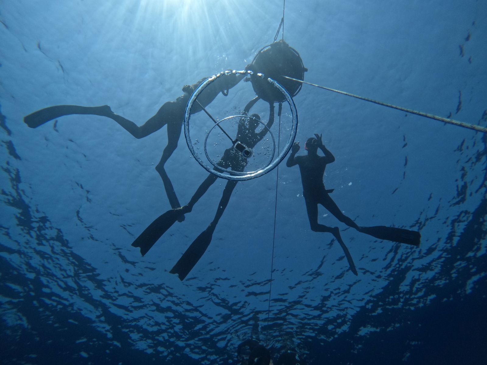 Entraînement basique en apnée
