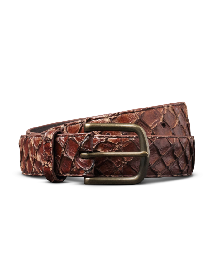 Unbuckled view of Men's Pirarucu Belt - Chocolate on plain background