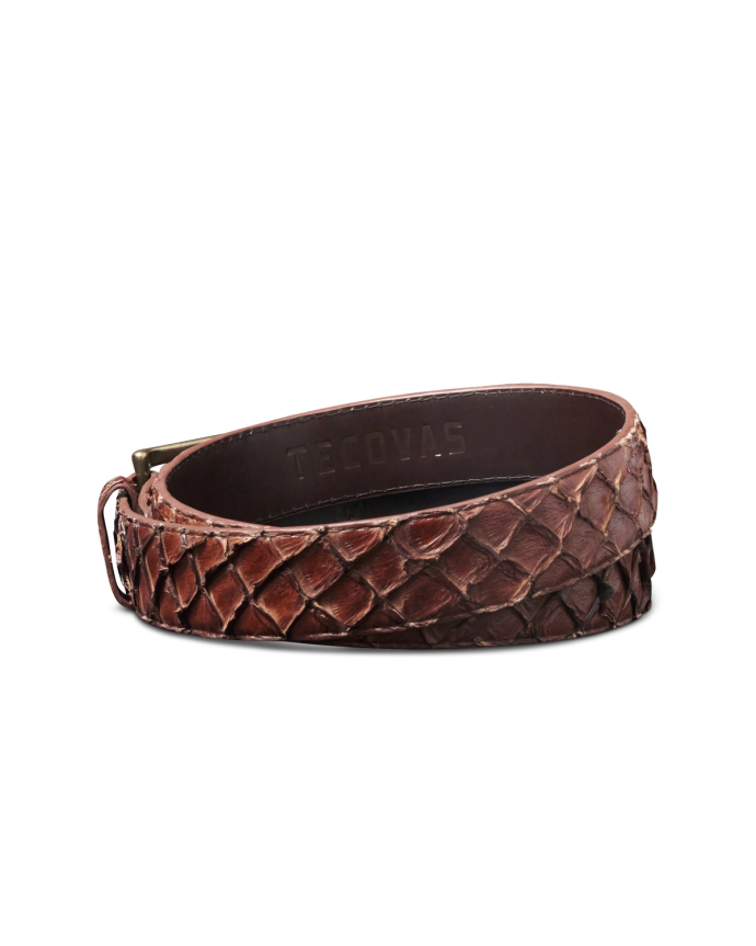 Back view of Men's Pirarucu Belt - Chocolate on plain background