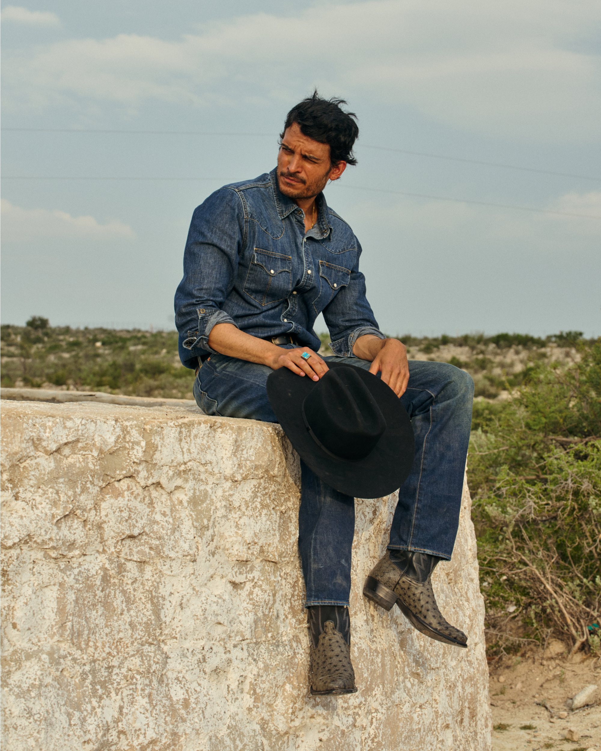 View of The Wyatt II - Graphite Ostrich