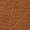 The product color Tan