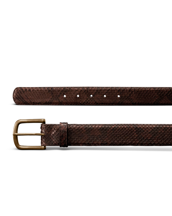 Closeup view of Men's Python Belt II - Chocolate