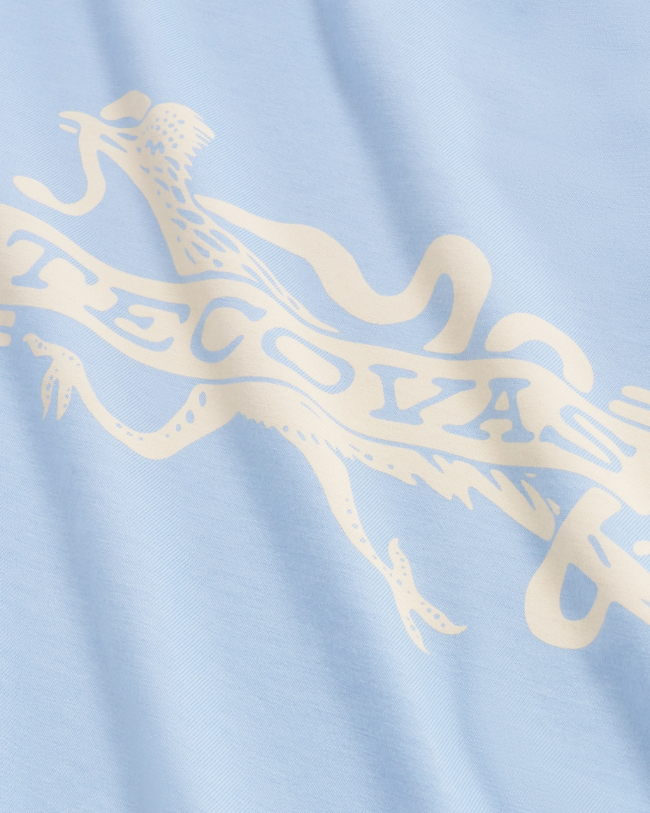Closeup view of Men's Roadrunner T-Shirt - Chambray/Bone