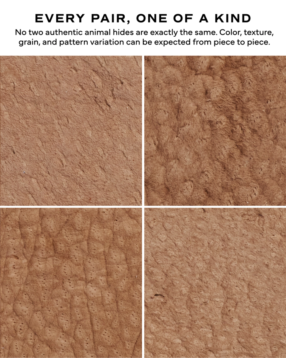 Closeup view of The Earl - Sandstone Carpincho